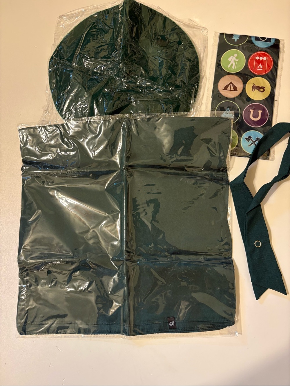 Halloween scout costume